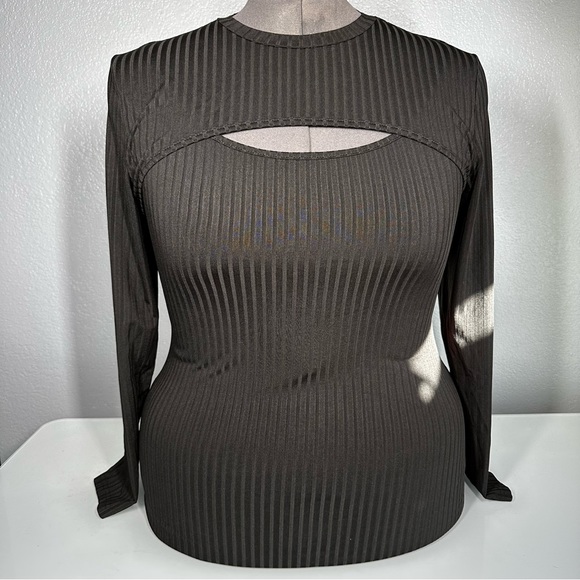 SHEIN Dresses & Skirts - Shein Curve 4xl Black LS Sheer dress striped cutout.